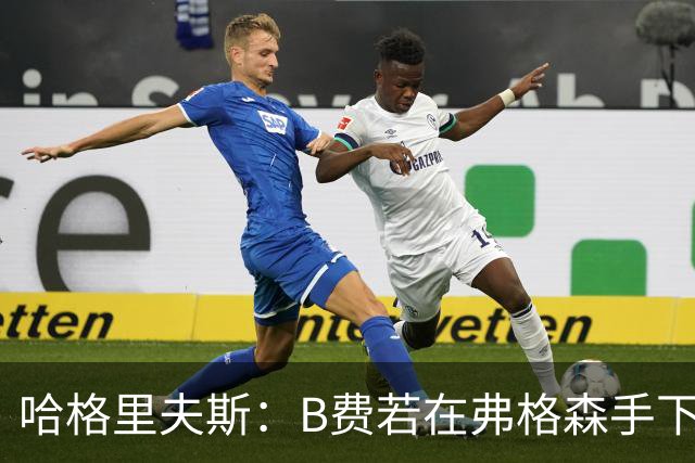 哈格里夫斯：B费若在弗格森手下说这话，就没机会再上场了